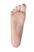 Regular foot